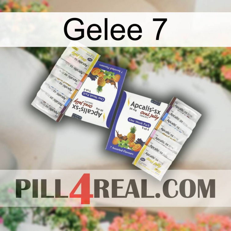 Jelly 7 12
